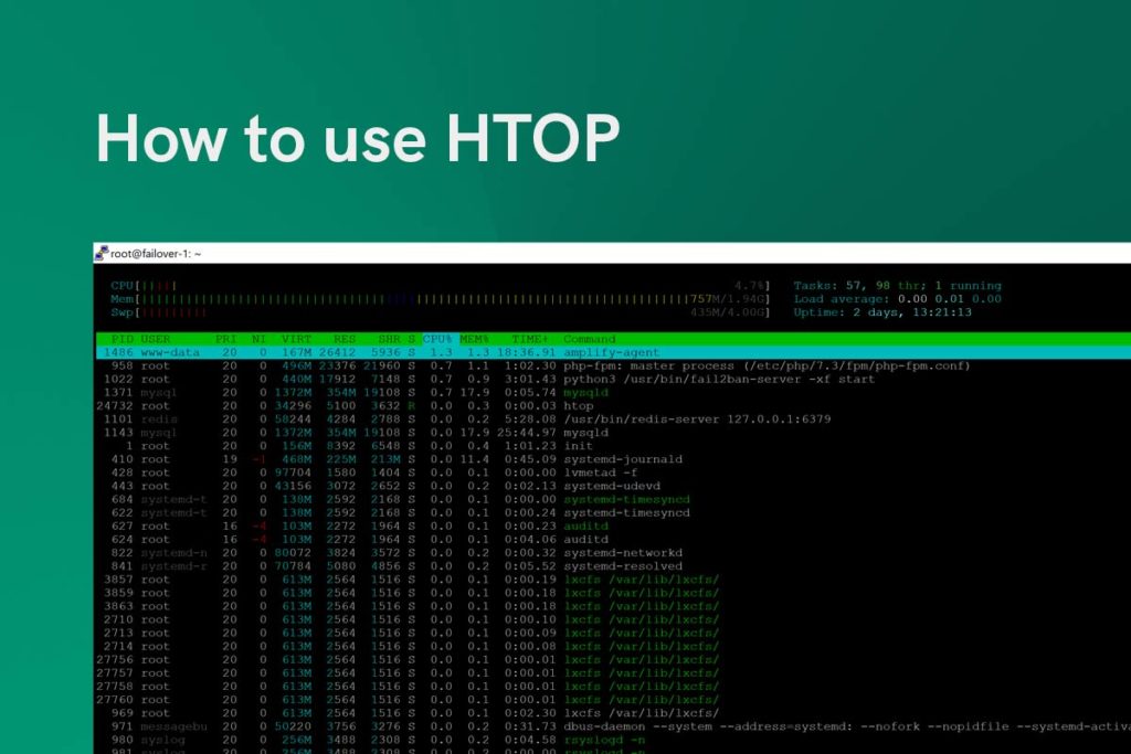 htop for network